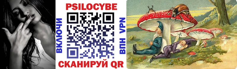 Купить где  Унеча  Псилоцибиновые грибы Cubensis 